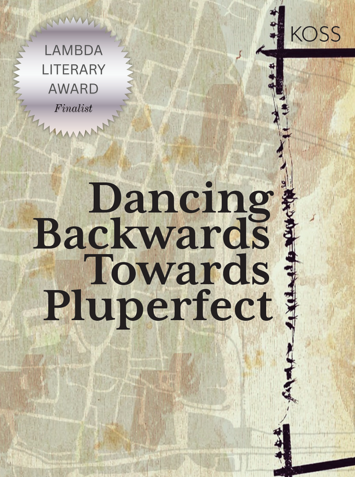 Dancing Backwards Towards Pluperfect cover